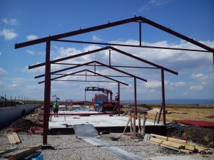443